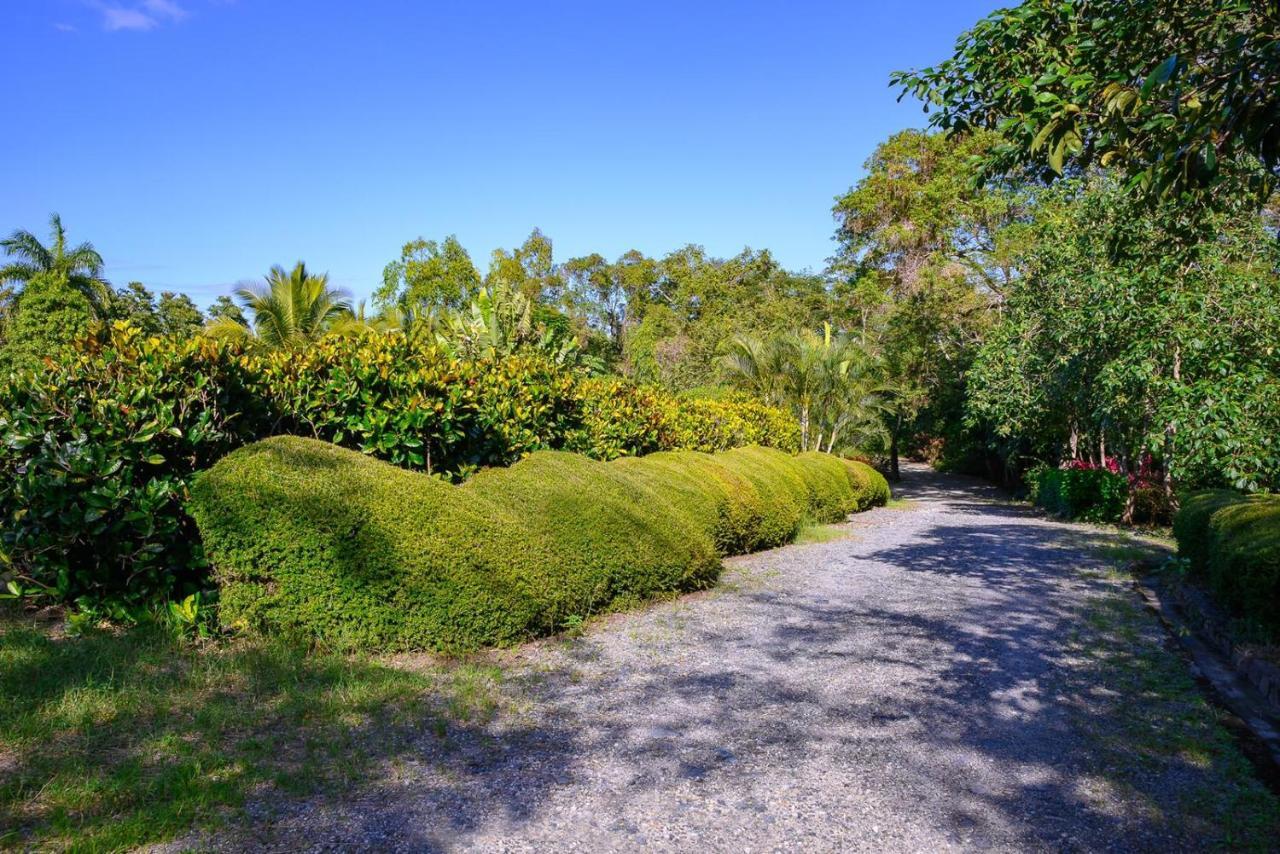فيلا Hacienda La Huerta Puerto Plata, 1 Bdr المظهر الخارجي الصورة