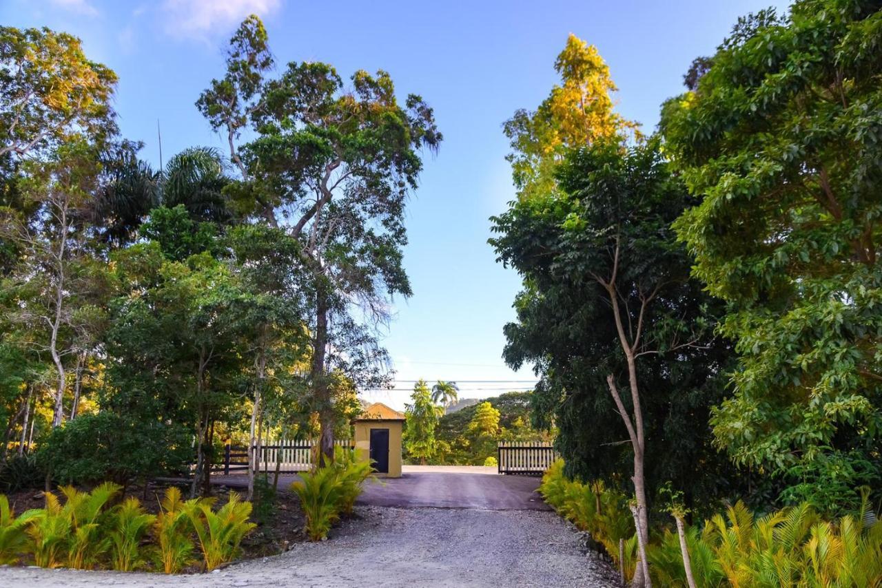 فيلا Hacienda La Huerta Puerto Plata, 1 Bdr المظهر الخارجي الصورة
