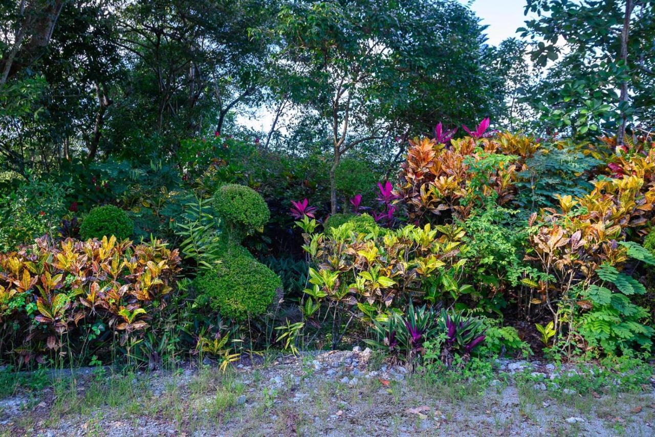 فيلا Hacienda La Huerta Puerto Plata, 1 Bdr المظهر الخارجي الصورة
