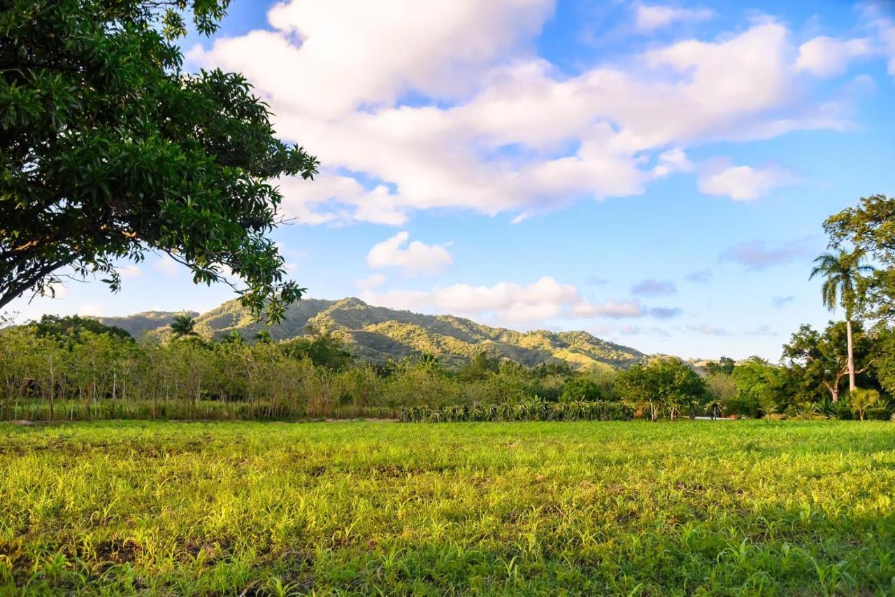 فيلا Hacienda La Huerta Puerto Plata, 1 Bdr المظهر الخارجي الصورة